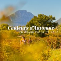 Couleurs d'automne en Grand Pic Saint-Loup - Tetieres