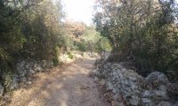 Sentier des Drailles - Grand Pic Saint-Loup Tourisme - Viols-le-Fort