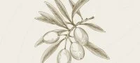 Olives