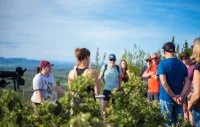 Balades Vins & Saveurs 2025 3