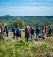 Les balades Vins & Saveurs