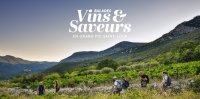 Balade Vins & Saveurs