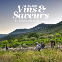 Les balades 'Vins & Saveurs en Grand Pic Saint-Loup'