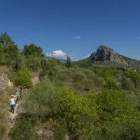 Balade Vin & Saveurs - Vall&eacute;e de la Bu&egrave;ges - Grand Pic Saint-Loup - 2022 10