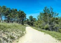 Le Bois de Saint-Sauveur - Randonn&eacute;e Grand Pic Saint-Loup - Saint-Cl&eacute;ment-de-Rivi&eacute;re