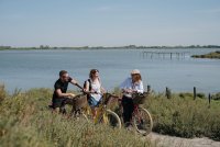 CAMARGUE AUTREMENT SAFARI EN VÉLO ÉLECTRIQUE