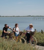CAMARGUE AUTREMENT SAFARI EN VÉLO ÉLECTRIQUE © Camargue Autrement CAMARGUE AUTREMENT SAFARI EN VÉLO ÉLECTRIQUE