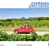 Catalogue Oenotourisme 2023 - Vignobles et Découvertes - OT Grand Pic Saint-Loup