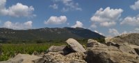 Clos des Reboussiers_Cazevieille_Herault_Occitanie_Vignoble 02