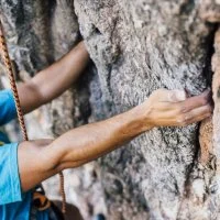 Les bonnes pratiques en escalade