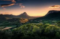 AOP Pic Saint Loup