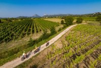 Expériences épicuriennes autour de nos vignobles Expériences épicuriennes autour de nos vignobles