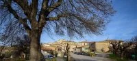 Saint-Vincent-de-Barbeyrargues - Herault - Occitanie