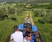 Domaine Oulivie_OTGPSL 2