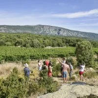 Tractotour 09