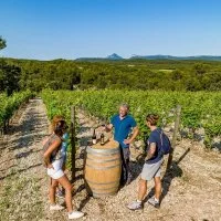 D&eacute;gustation Bergerie de Fenouillet