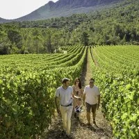 Pique-nique vignes et balade pied du Pic 16