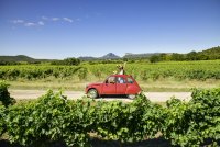 2CV Montpellier Wine Tours 11 2CV Montpellier Wine Tours 11