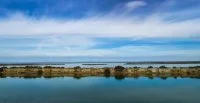 Petite Camargue - Etang et Canal du Rhone - S&egrave;te - Occitanie - Herault - ADT