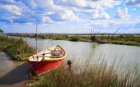 Petite Camargue - Etang de l'Or - Occitanie - Herault - ADT