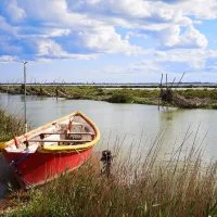 Petite Camargue - Etang de l'Or - Occitanie - Herault - ADT