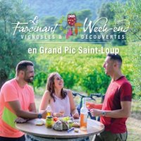 Fascinant Week-End Vignobles & Découvertes - Grand Pic Saint-Loup 5