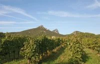 Cuv&eacute;e Tour de Pierre - H&eacute;ritage du Pic Saint Loup