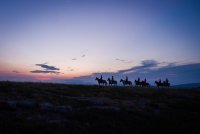HORSE AVENTURE © Regis Domergue HORSE AVENTURE