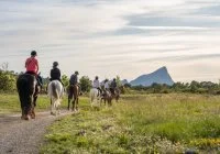 HORSE AVENTURE
