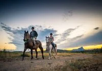 HORSE AVENTURE