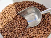Max a un grain