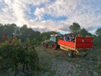 Pic on the sunset tracteur - Chateau Boisset