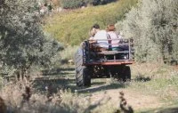 Exp&eacute;rience Tracteur Oulivie 2