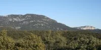 Le Bois de L&eacute;ques - Office de Tourisme Grand Pic Saint-Loup - Balade et Randonn&eacute;e 6