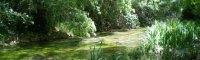Le Bois de Saint-Sauveur - Randonnée - Grand Pic Saint-Loup - Le-Lez © Eric Brendle - ADT34 Le Bois de Saint-Sauveur - Randonnée - Grand Pic Saint-Loup - Le-Lez