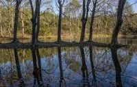 La Source du Lez