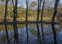 La Source du Lez