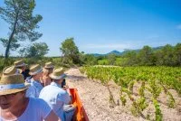 Le Fascinant Week-End "Vignobles & D&eacute;couvertes" 
