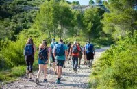 Un &eacute;t&eacute; en Grand Pic Saint-Loup - Balade Vins & saveurs
