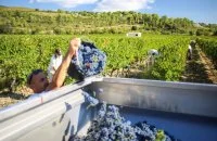 MAISON LE BRETON - DOMAINE DE LA JASSE