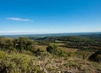 Mont&eacute;e du Pic Saint-Loup 2