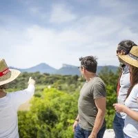 MONTPELLIER WINE TOURS