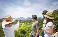 MONTPELLIER WINE TOURS