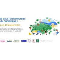 L'Oenotournée du numérique fait étape en Grand Pic Saint-Loup : formez-vous gratuitement au digital
