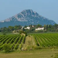 Projet Oenov&eacute;lo en Grand Pic Saint-Loup
