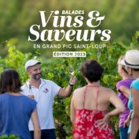 Balade Vins & Saveurs 2023_1200x1200