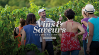Flashback sur les Balades Vins & Saveurs de l’été.
