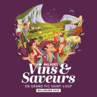 Les balades Vins & Saveurs en Grand Pic Saint-Loup