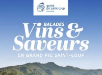 Balades Vins & Saveurs 2022