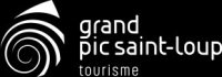 Logo OT GPSL - Fond Noir